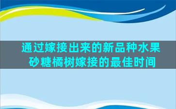 通过嫁接出来的新品种水果 砂糖橘树嫁接的最佳时间